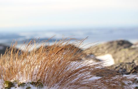 Møte 2.januar - Reiseliv i Ryfylke