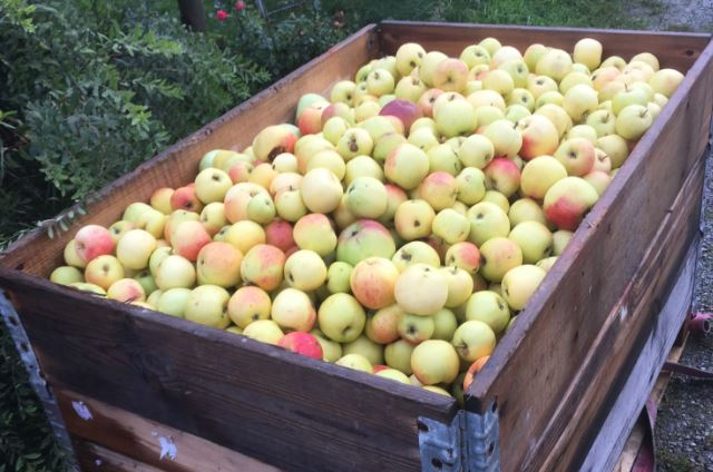 Møte 12.november - Bedriftsbesøk på Fruktpakkeriet i Årdal.